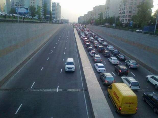 Прикольные фото радуют глаз