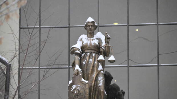 Подозреваемому в похищении девочки в Смоленске вскоре изберут меру пресечения