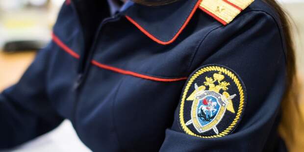 Упавшее дерево убило младенца в Подмосковье
