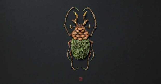 Natura Insects. Raku Inoue 7