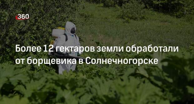 Более 12 гектаров земли обработали от борщевика в Солнечногорске