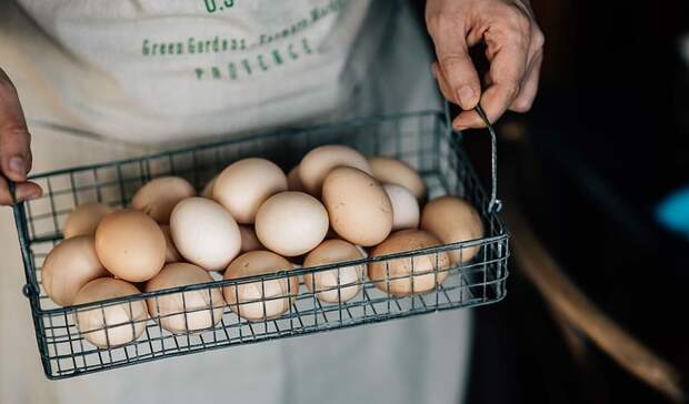 Отоларинголог рассказал о пользе употребления сырых яиц