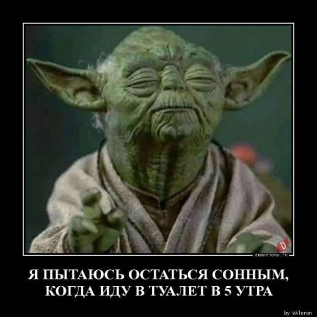 1589440048_demki-24.jpg