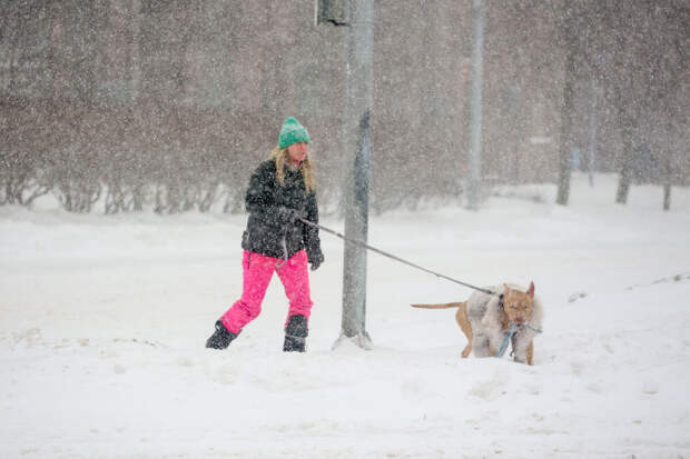 Тренер Аверьянов: прогулка в снегопад заставляет мышцы активнее работать