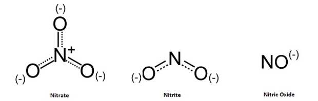 Nitrate nitrite