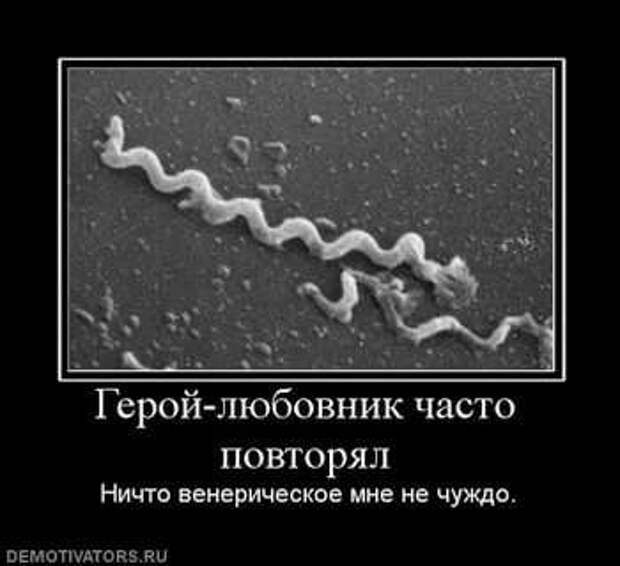 Прикольные демотиваторы с надписями. Подборка chert-poberi-dem-chert-poberi-dem-53330907112020-7 картинка chert-poberi-dem-53330907112020-7