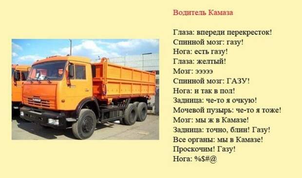 Смешная классификация водителей (8 фото) Смешная классификация водителей (8 фото)