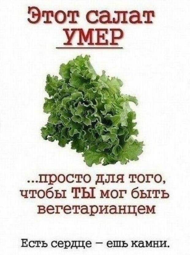 Анекдоты и афоризмы. Самые смешные анекдоты. анекдоты, юмор, приколы