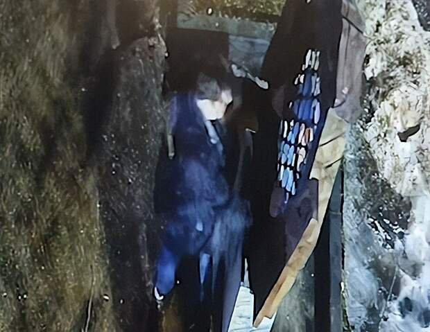 В Ленобласти задержали вандала, сломавшего скульптуру сказочного шмеля