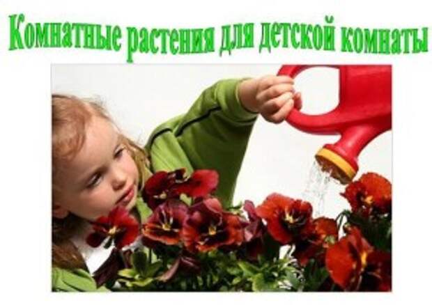 Цветы для детской комнаты | Развитие ребенка