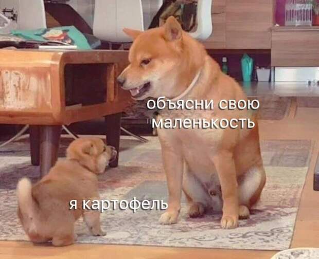 Объясни свою маленькость
