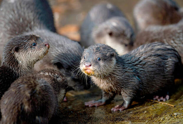 Весна за окном Весна за окном
