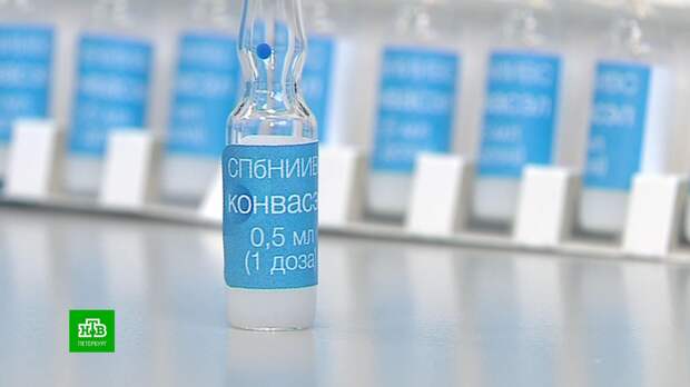 Петербургские ученые создали новую вакцину от ковида «Конвасэл»