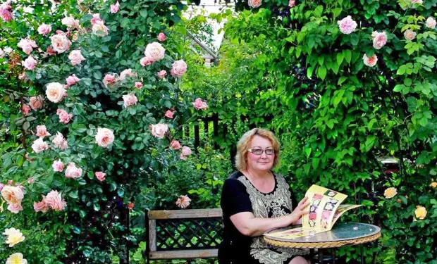 Почему гибнут молодые розы: самые частые причины неудачного старта