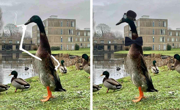 long duck meme