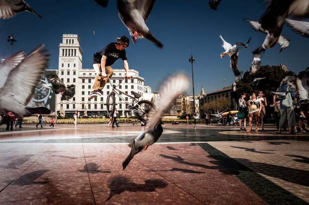 Red Bull объявил финалистов конкурса экстремальной фотографии