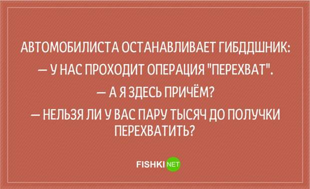 20 анекдотов о сотрудниках ГИБДД Анекдоты, гаи, гибдд