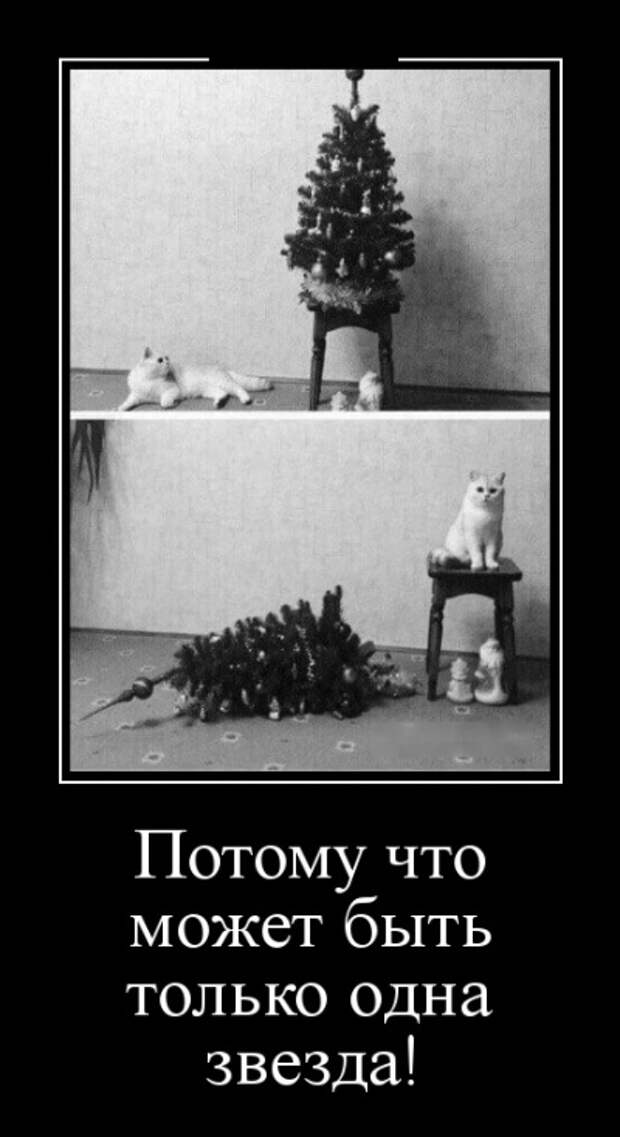 Демотиваторы (30 фото)