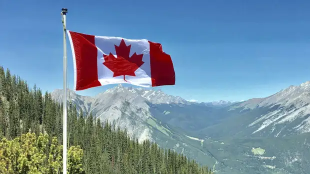 pexels.com/Daniel Joseph Petty