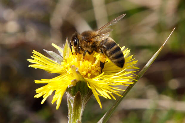 Ночные заморозки и до +15 днем: о погоде в Туле 26 марта