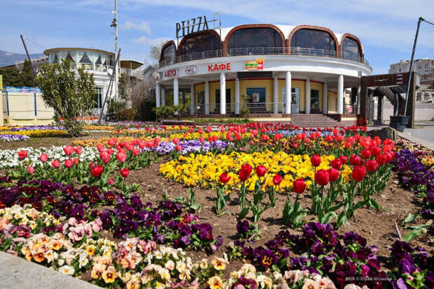 Ялта в самоизоляции