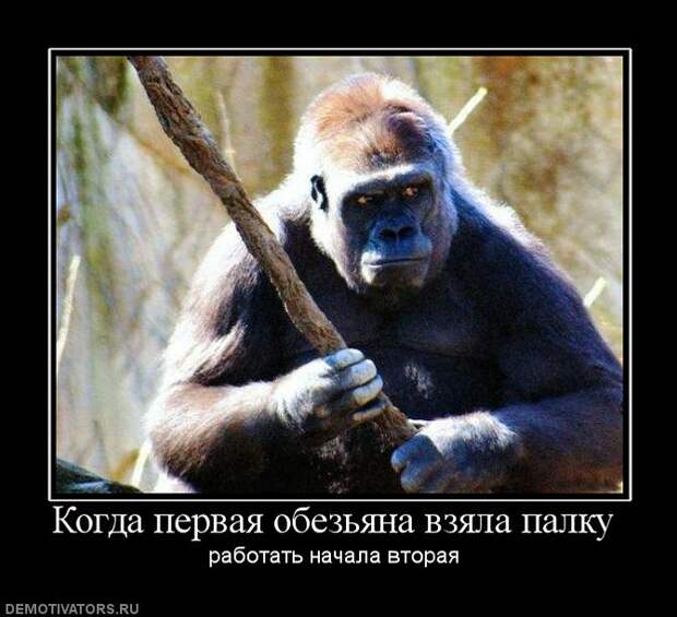 Позитивные демотиваторы про животных (20 фото) Позитивные демотиваторы про животных (20 фото)