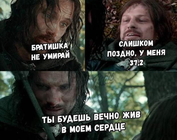 Подборка смешных картинок (20 фото)