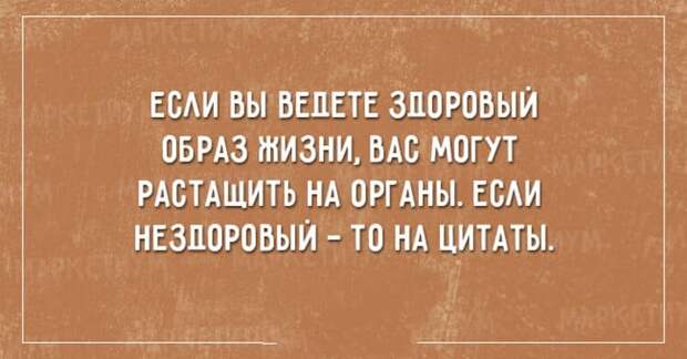 https://cdn4.umbrella.green/wp-content/uploads/2017/01/19-19.jpg