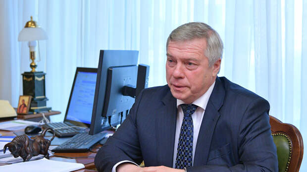 Губернатор Ростовской области Голубев заявил, что ситуация в регионе стабильная