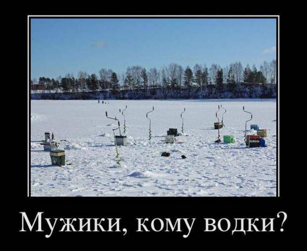 Pro100 Dемотиваторы