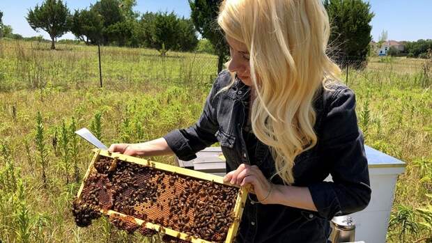 Девушка голыми руками взяла в руки сотни пчел