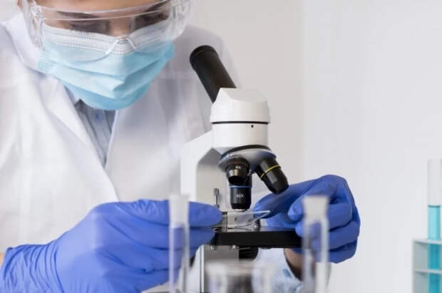 Ученые раскрыли роль африканских белок в распространении оспы обезьян