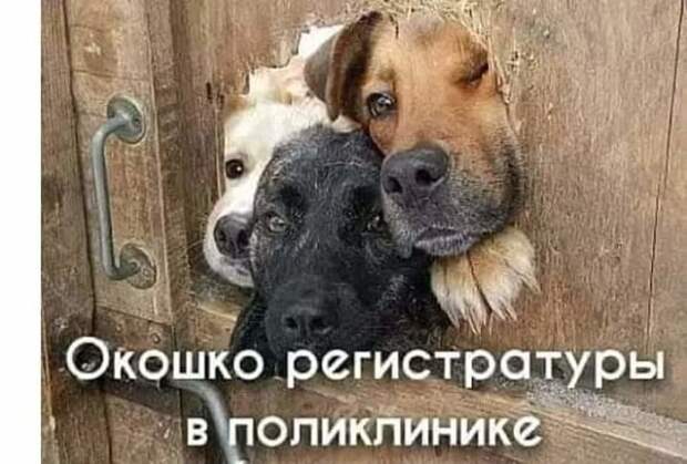 Один в один Один в один