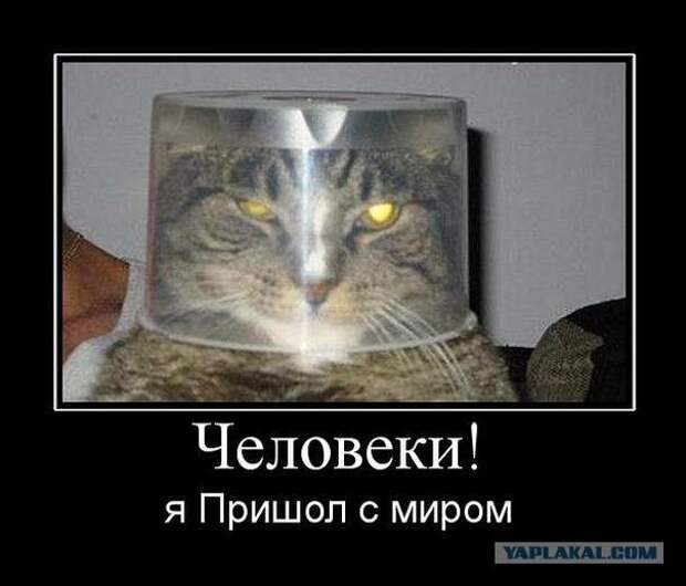 Всяко - разно 14 ))) Всяко - разно 14 )))