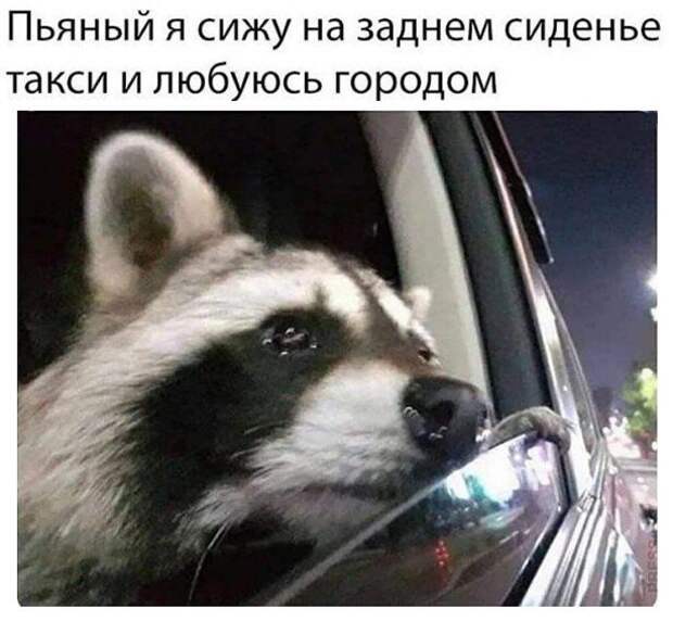 Алкопост на вечер этой пятницы
