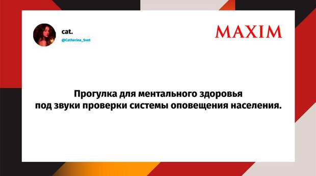 Самые смешные шутки четверга и «абсолютно любой сербский фильм»