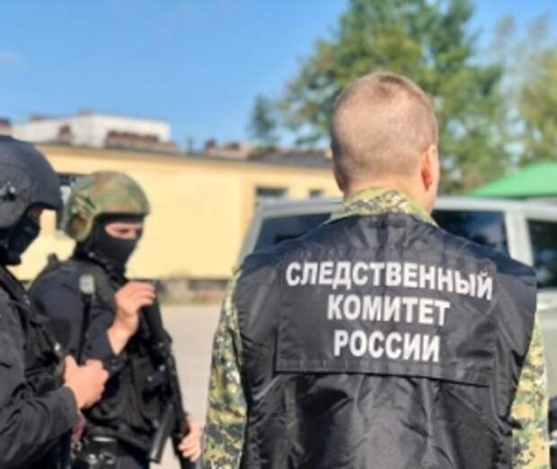 О ходе расследования уголовного дела о ДТП, в результате которого пострадал водитель в Свердловской области, доложат в центральный аппарат СК России