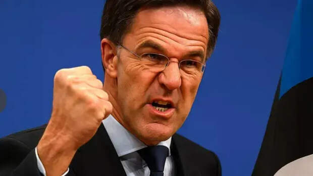 Генсек НАТО потребовал от украинской собаки гарантий: "Он сказал, что мы никогда не сдадимся"