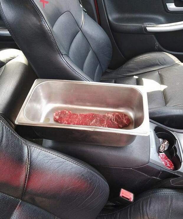 Австралия - мужчина оставил кусок мяса на пару часов в салоне авто