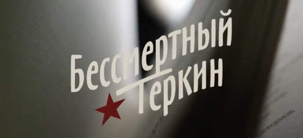 Видео: «Петербургский дневник» и «Бессмертный полк России» продолжают проект «Бессмертный Теркин»
