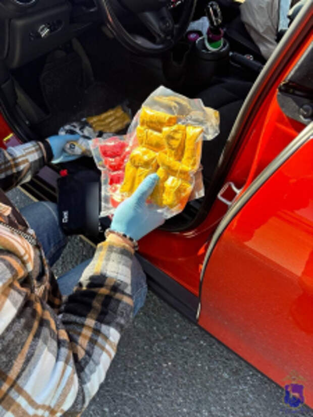 В Самарской области  полицейские задержали подозреваемого в покушении на сбыт более 5 кг наркотика синтетического происхождения
