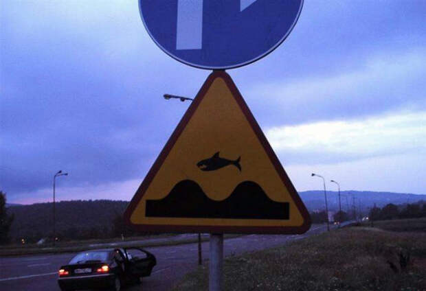 Летающие акулы.