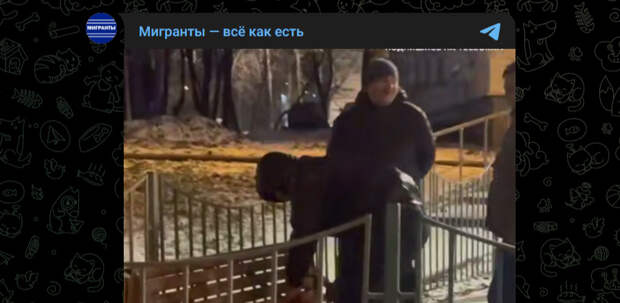 "Где написано, что нельзя?": мигранты опять разделывали барана прямо на детской площадке в Москве
