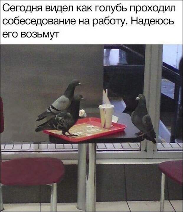 Фотоподборка