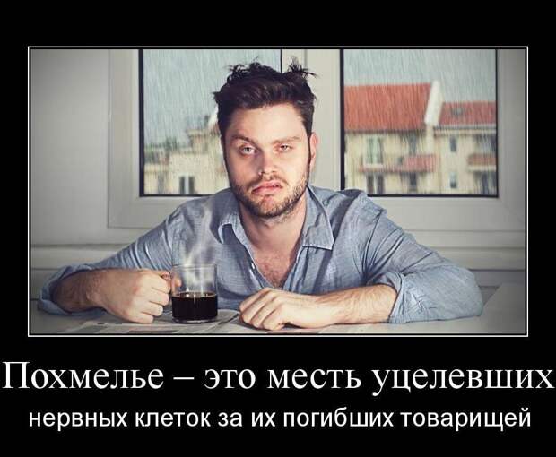 Порция самых свежих и прикольных демотиваторов