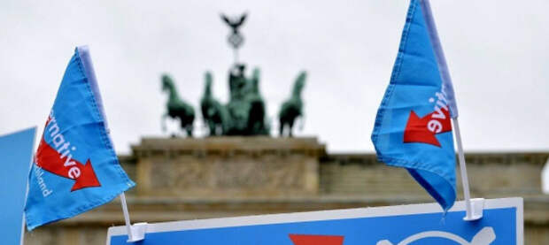 «Беспрецедентное событие». В Германии задержали депутата от АдГ за нарушение санкций против Белоруссии