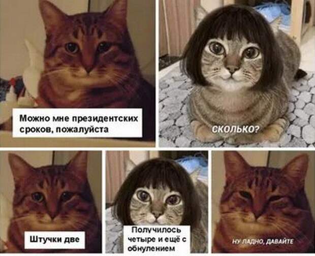www.vsyako.net