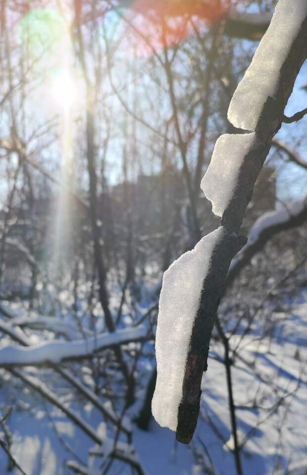 Донецк сейчас: мороз и солнце