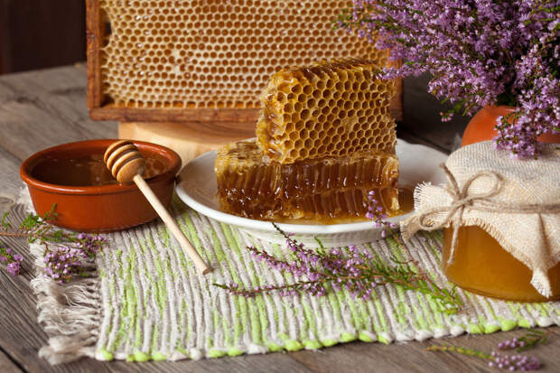 "Руспродсоюз" предупредил о возможном дефиците меда из-за погоды в 2025 году