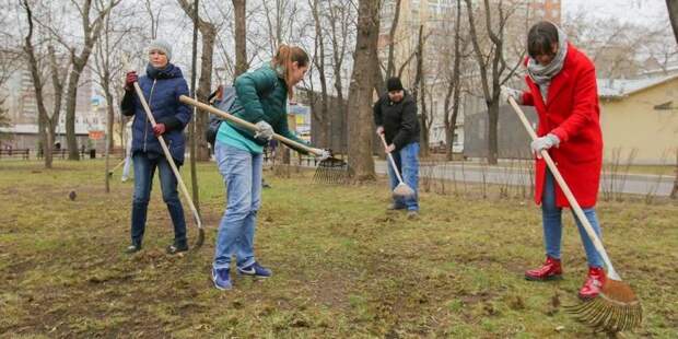 Темой встречи с населением в Кузьминках станет весеннее благоустройство района. Фото: фото из архива редакции